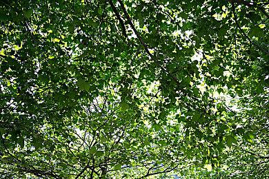 《幻想生活i：转圈圈的龙和偷取时间的少女》公布新实机演示视频