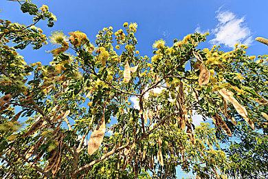 《异形》手游《异形：断电》宣布10月31日关服