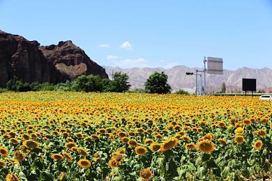 《荒野大镖客2》趣味BUG视频：亚瑟坐上摩托艇